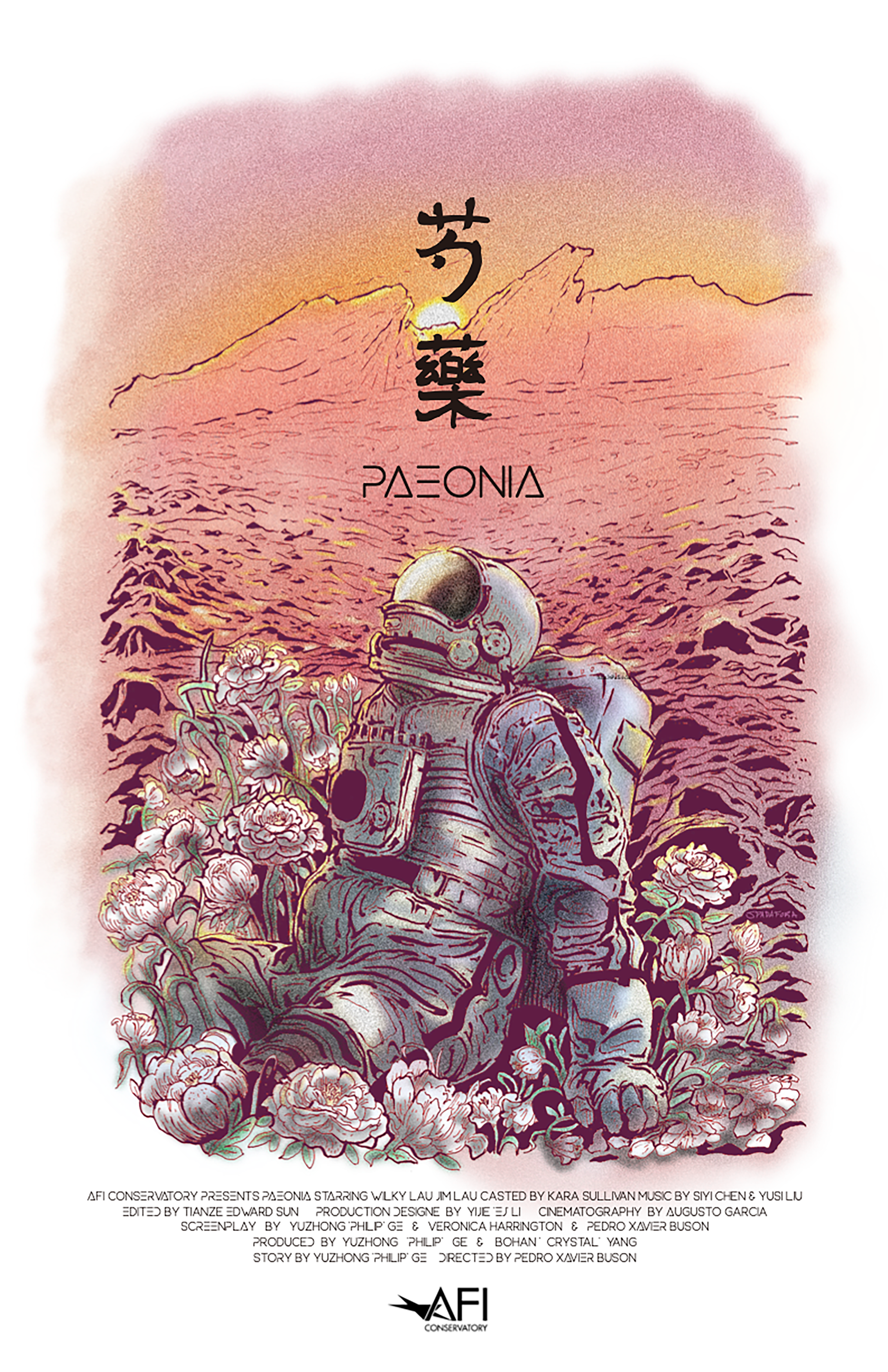 Paeonia poster